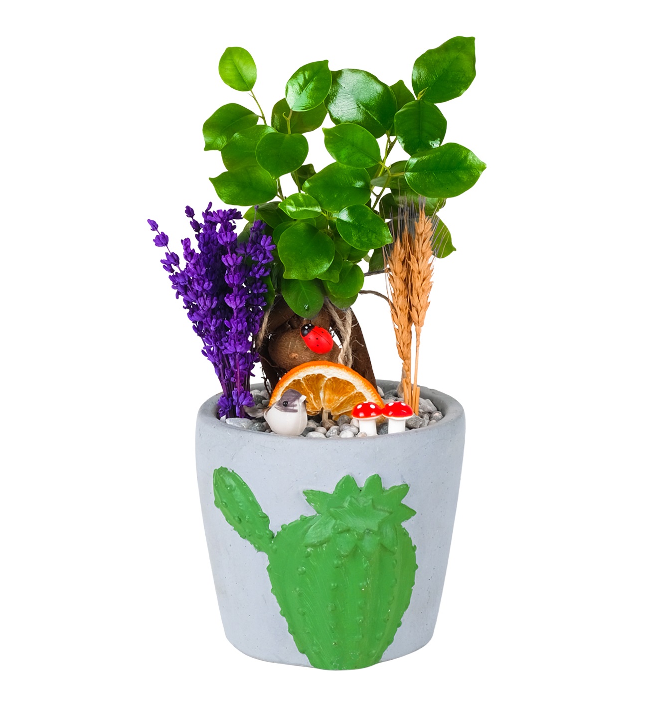 Bonsai Tasarımları