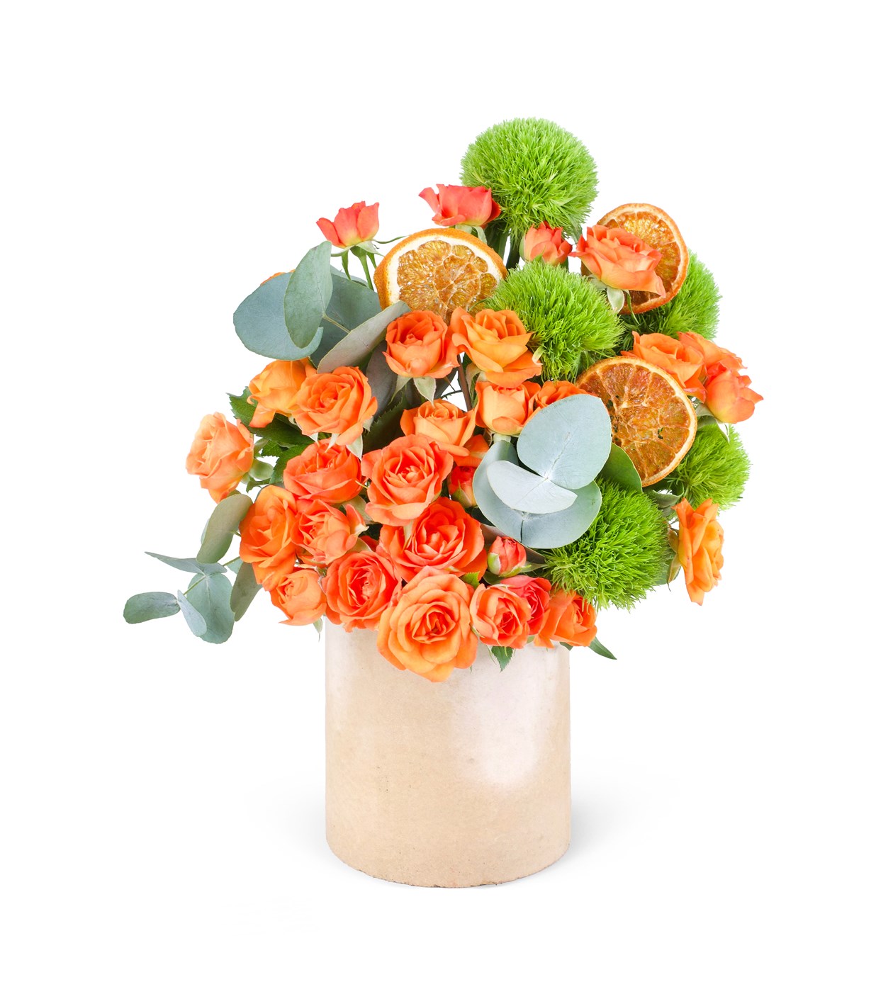 Somon Beton Saksıda Turuncu Çadak Gül