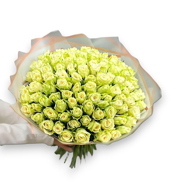 100 Adet Beyaz Gül Buketi