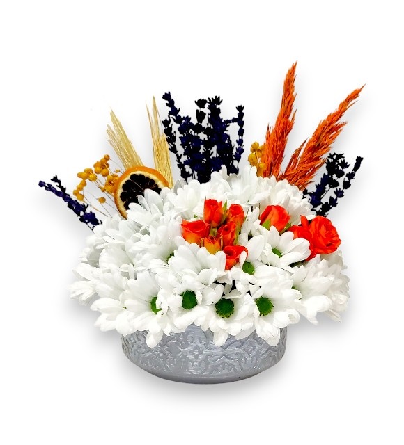 Gri Saksıda Papatya Tasarımı