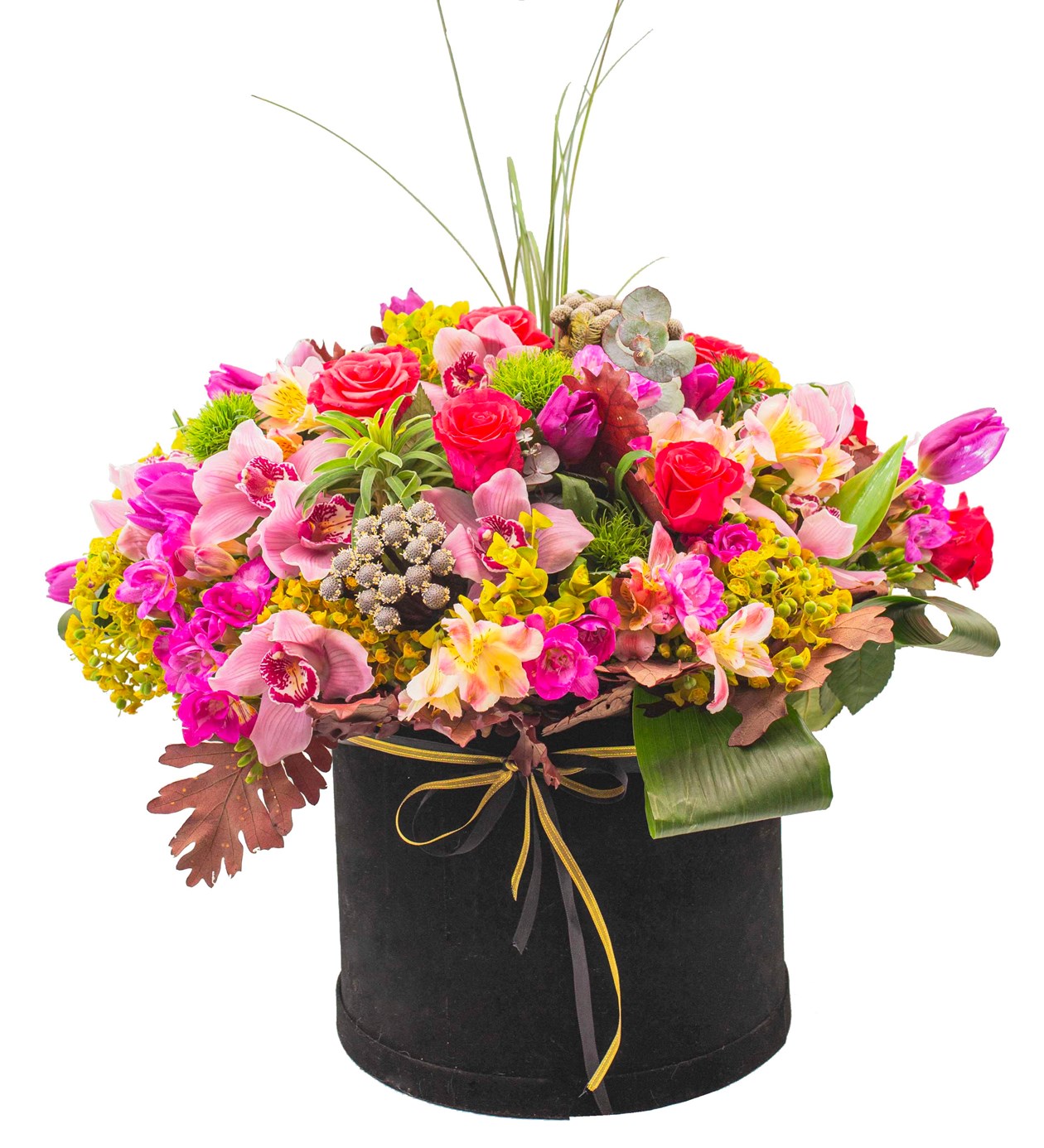 Kutuda Pembe Düşler