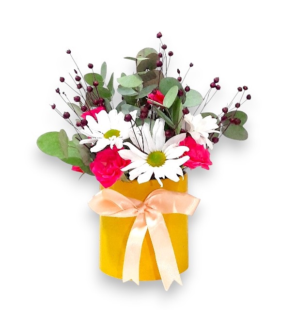 Sarı Saksıda Pembe Güller ve Beyaz Papatyalar