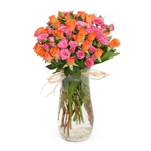 Pembe ve Turuncu Çardak Gül